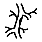 <p><strong>Vasculitic</strong></p>