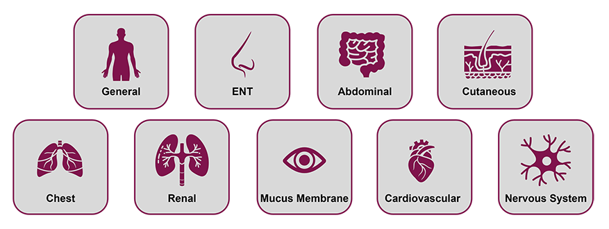 The typical features of active systemic vasculitis are grouped into these nine organ-based systems, including general (body silhouette icon), ENT (nose icon), abdominal (GI tract icon), cutaneous (epidermis icon), chest (lung icon), renal (kidneys icon), mucus membranes (eye icon), cardiovascular (heart icon), and nervous system (neuron cell icon).