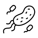 <p><strong>Infection and Other Exposures</strong></p>